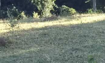 Imagem 3: 45 Alqueires de Cultura próximo a Ouro Verde de Goiás