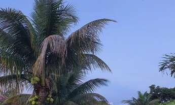 Imagem 7: Chácara para Venda em Vila Romana - Aparecida De Goiânia