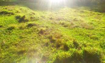 Imagem 3: TERRENO PARA SITIO EM LARANJAL PAULO LOPES