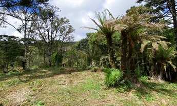 Imagem 4: Urubici - Terreno