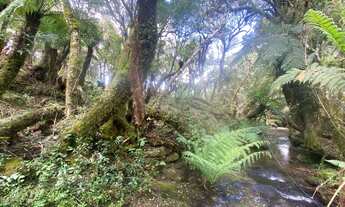 Imagem 5: Urubici - Terreno