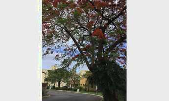 Imagem 4: Apartamento com 2 dormitórios para alugar, 55 m² por R$ 1.282/mês - Dois Córregos - Piraci