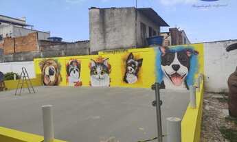 Imagem 3: Apartamento para Locação em Itaquaquecetuba, Chácara Dona Escolástica, 2 dormitórios, 1 ba