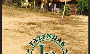 Imagem 3: Oportunidade Fazenda pra Lavoura 918 Alqueires ou Seja 4.444 Hectares, Beira Rio Plana