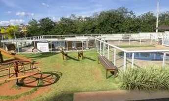 Imagem 5: Lindo apartamento com planejados a venda no Andorinhas