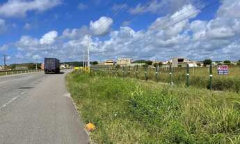 Imagem 3: Barra de São Miguel/AL - terrenos beira de pista