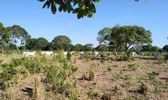Imagem 7: Fazenda à venda de 497,00 Ha para Agricultura Irrigada Ibiaí - MG