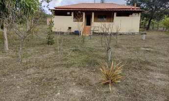 Imagem 2: Chacara 33 mil metros em vianopolis go