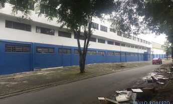 Imagem 6: GALPÃO - VILA NOVA CUMBICA - SP