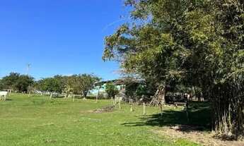 Imagem 3: Excelente Sítio de 3,5ha na Estância Grande