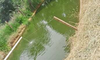 Imagem 4: Chácara em Bonfinópolis 5000m2 só R$ 400 mil