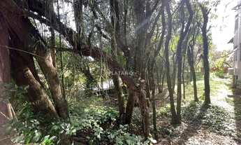 Imagem 5: Imóvel no Vinte e Cinco de Julho, Ivoti