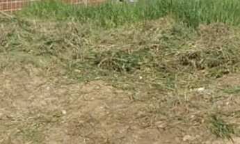 Imagem: Terreno no bairro smart city, plano, segunda