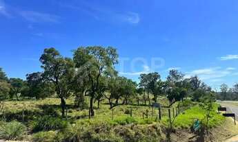 Imagem 4: Venda de Terreno / Industrial na cidade de São Carlos