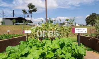 Imagem 13: Lote no Jardins França