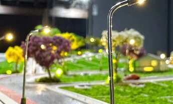 Imagem 3: Jardim botânico