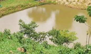 Imagem 3: Fazenda à Venda em Bom Jardim de Goiás 34,5 Alqueires
