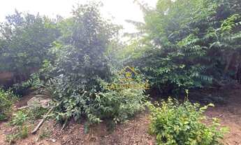 Imagem 6: Salomone vende Sítio de 1789me na RS040