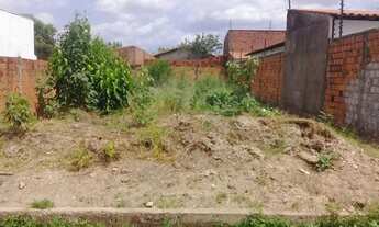 Imagem 3: Vende-se terreno na Piçarreira 2