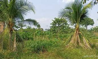 Imagem 6: Vendo Sítio na Estrada de Autazes