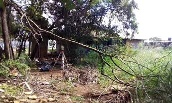 Imagem 4: TERRENO - Terreno Comercial