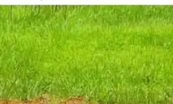 Imagem: 86A- TERRENOS EM ATIBAIA COM LOCALIZAÇÃO