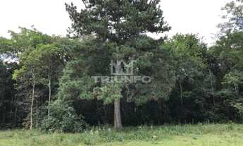 Imagem 5: Sítio em Canastra !!