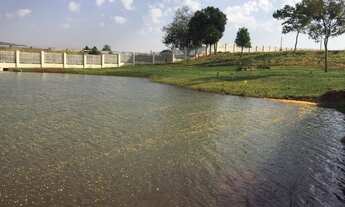Imagem 4: Fazenda/Sítio/Chácara para venda possui 1500 metros quadrados em Zona Rural - Guapó - GO