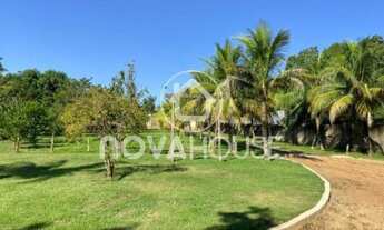 Imagem 6: LINDA CHÁCARA 6 MIL M²