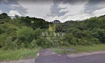 Imagem: FLORES DA CUNHA - Terreno Padrão - Travessão