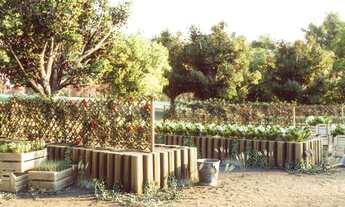 Imagem 6: LOTE CONDOMÍNIO FECHADO JARDINS FRANÇA GOIANIA GO