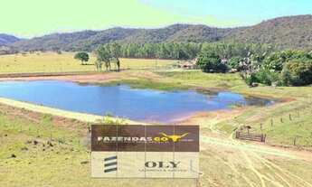 Imagem 2: Fazenda Impecável em Uruaçu ! 203 Alqueires ! Oportunidade !