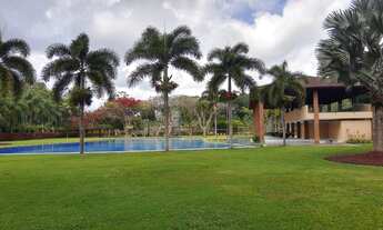 Imagem 4: Terra viva da aldeia