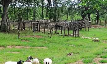Imagem 3: Fazenda para Venda em Ponte Alta do Tocantins