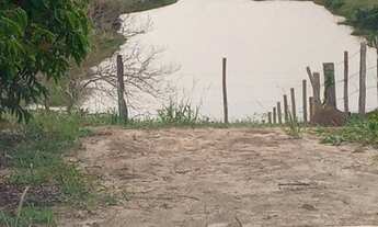 Imagem 6: Fazenda para venda possui 14 ALQUEIRES A 12 KM de - Nova Venécia - ES