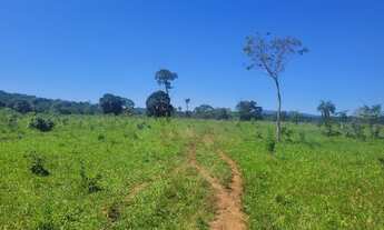Imagem 5: Vendo Fazenda de 43 alqueires no município de Jaraguá