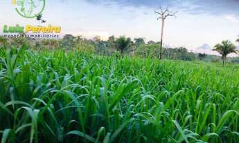 Imagem 7: FAZENDA À VENDA EM NOVO REPARTIMENTO - PA- 1868 HECTARES (DUPLA APTIDÃO