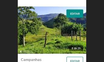 Imagem 6: Fazendinha em Rio Preto (M.G.) 65 Hectares