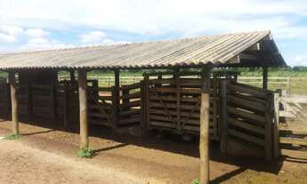 Imagem 4: Fazenda para Venda em Nova Crixás