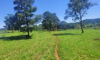 Imagem 6: Vendo Fazenda de 43 alqueires no município de Jaraguá