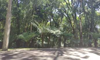 Imagem 4: GRAMADO - Terreno Padrão - Vila Moura