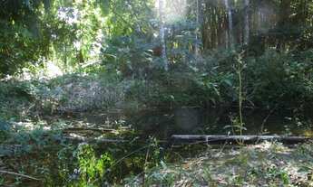 Imagem 7: Sítio centenário com água e vista exuberante!