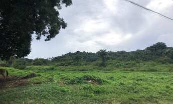 Imagem 5: Lotes a venda 450 m2 cada um, área total 900 m2 bairro Várzea - Recife - PE