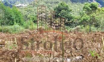 Imagem 6: T093 Espetacular terreno Braunes com 1.024 m², Nova Friburgo-RJ