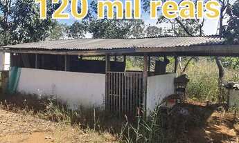 Imagem 5: Fazenda/Sítio/Chácara para venda tem 10000 metros quadrados em Planaltina - Brasília - DF