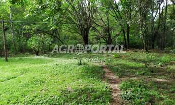 Imagem 7: Fazenda no Pará - Santa Isabel do Pará - 100 ha (20 alq