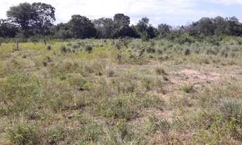 Imagem 6: Fazenda 227 alqueires - Talismã - Tocantins