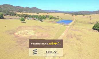 Imagem 7: Fazenda Impecável em Uruaçu ! 203 Alqueires ! Oportunidade !