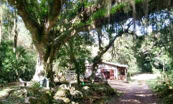 Imagem 3: Morada em Sítio com Piscina em Maquiné/RS