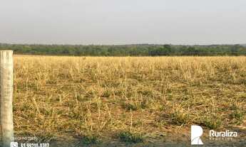 Imagem 6: Fazenda com dupla aptidão e 730,02 hectares na região de Guaraí - TO